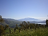 sicile 2008 316.jpg